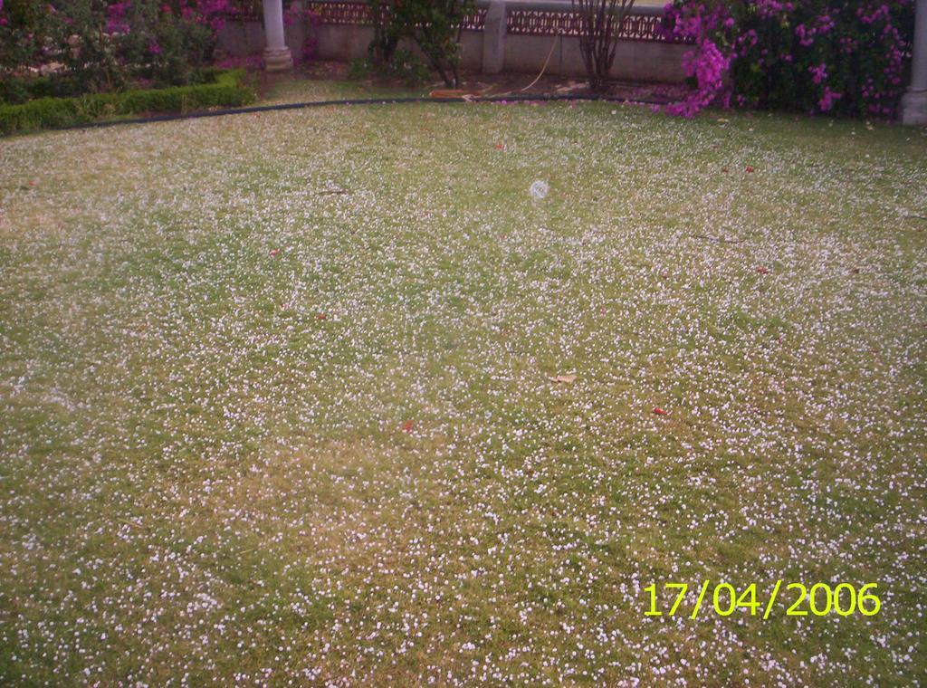 Jheelam Homestay Bhopal Exterior foto
